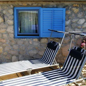 Charming Dalmatian With Panoramic View Tkon